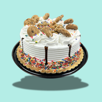 Celebration Birthday Cake 8'' Ice Cream Cake - Nationwide Delivery
