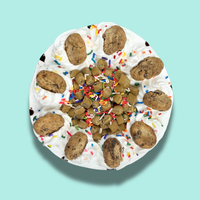 Celebration Birthday Cake 8'' Ice Cream Cake - Nationwide Delivery