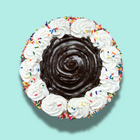 Celebration Birthday Cake 8'' Ice Cream Cake - Nationwide Delivery